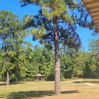 Assemblies of God Campground ico