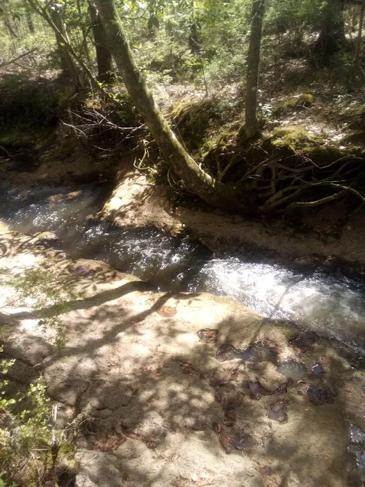 Assemblies of God Campground Picture 3