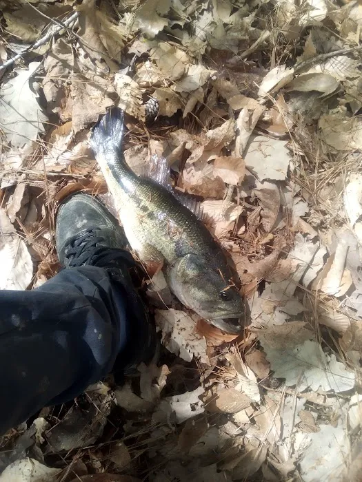 Assemblies of God Campground Picture 2