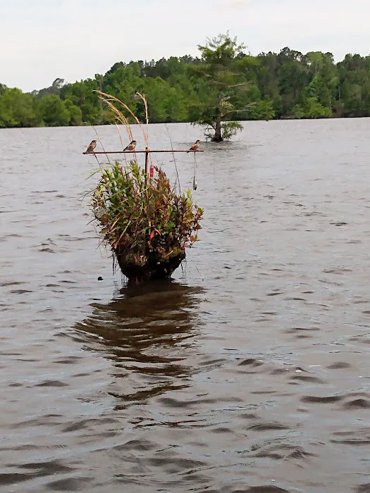 Cotile Recreation Area Picture 5