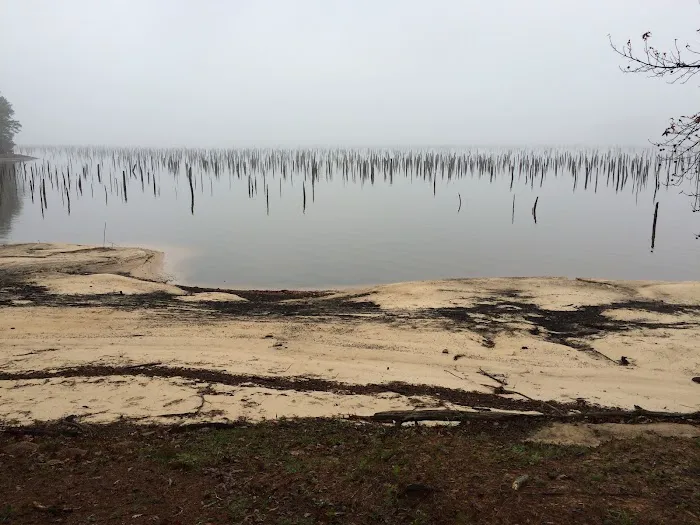 Cotile Recreation Area Picture 1