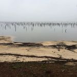 Cotile Recreation Area