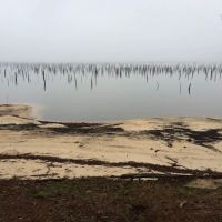 Cotile Recreation Area ico