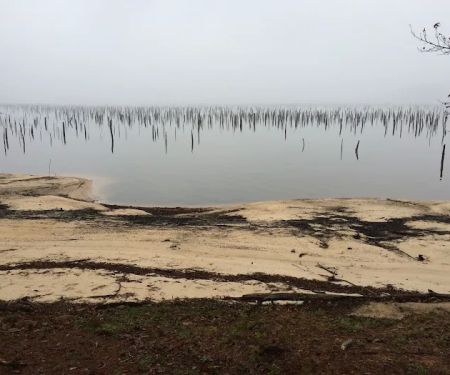 Cotile Recreation Area