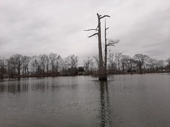Woolen Lake Road Campground and Boat Launch Picture 1