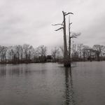 Woolen Lake Road Campground and Boat Launch
