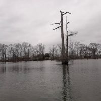 Woolen Lake Road Campground and Boat Launch ico