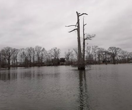 Woolen Lake Road Campground and Boat Launch