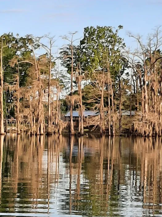 Woolen Lake Road Campground and Boat Launch Picture 2