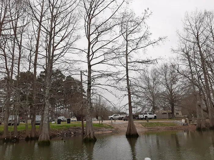 Woolen Lake Road Campground and Boat Launch Picture 5