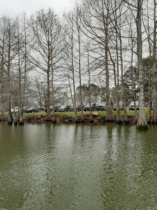 Woolen Lake Road Campground and Boat Launch Picture 4