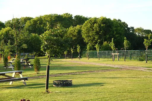 Sheyenne Oaks Campground Picture 2