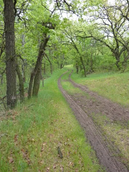 Sheyenne Oaks Campground Picture 3