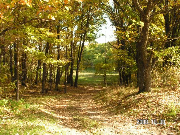 Sheyenne Oaks Campground Picture 10