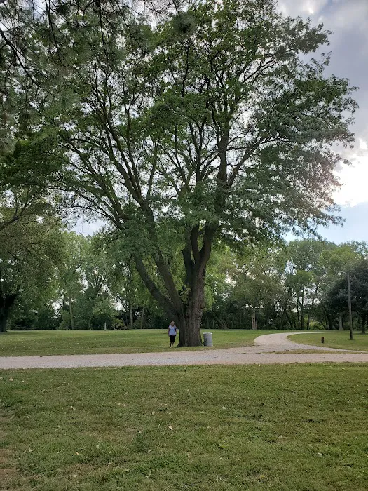 Blue Valley Camping Area Picture 9