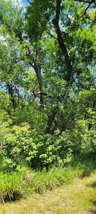 Area Three Campground Picture 8