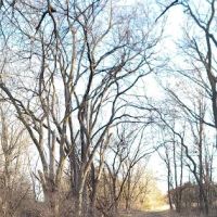 Pawnee Lake Horse Corrals ico