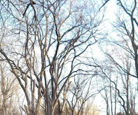 Pawnee Lake Horse Corrals