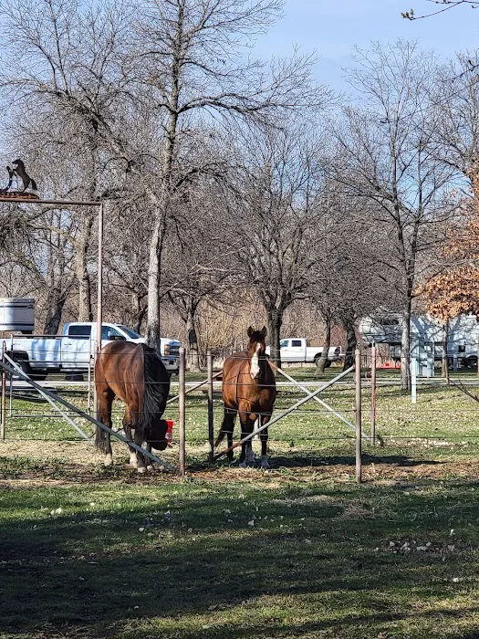 Pawnee Lake Horse Corrals Picture 2