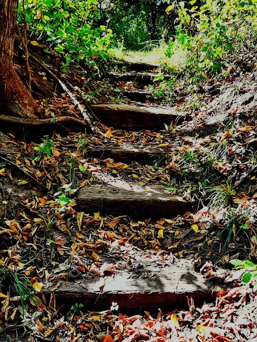 Lake View Campground Picture 1