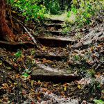 Lake View Campground