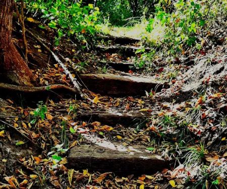 Lake View Campground