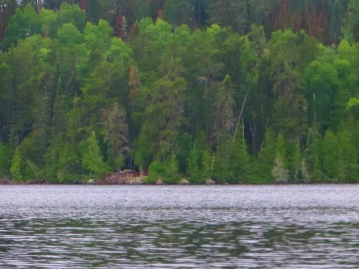 BWCA Campsite #326 Picture 2
