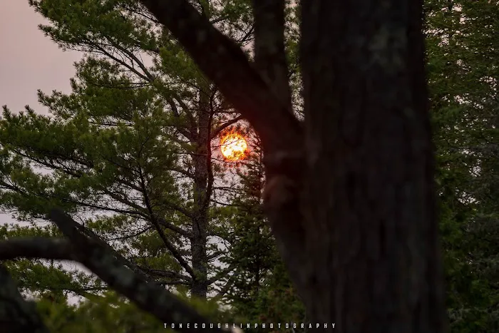 BWCA Campsite #692 Picture 7