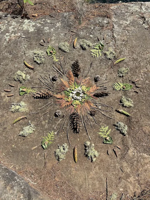 BWCA Campsite #684 Picture 3