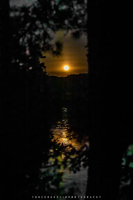 BWCA campsite 754 Picture 2