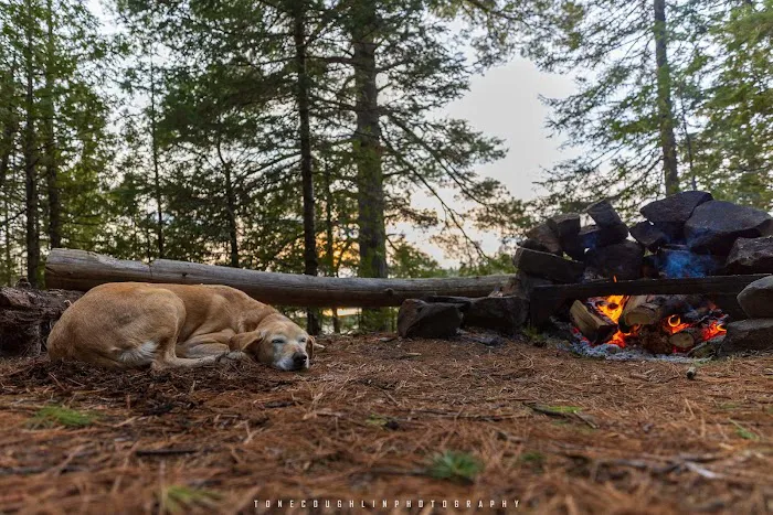 BWCA Campsite #752 Picture 3