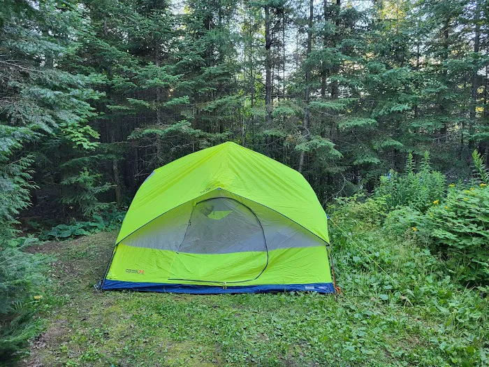 BWCA Campsite #751 Picture 7