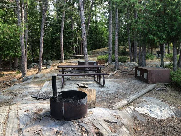 Mica Island N20 Campsite Picture 2