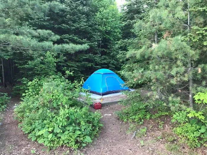 Kettle Portage N16 Campsite Picture 7