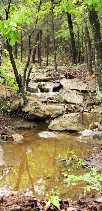 Sky Valley Acres Picture 9