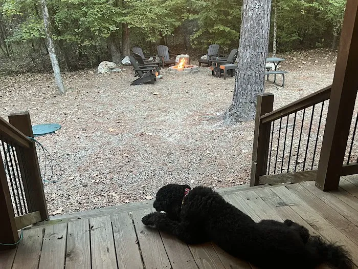 Lazy Horse Lodge Picture 1