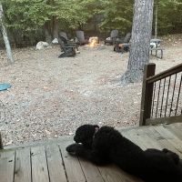 Lazy Horse Lodge ico