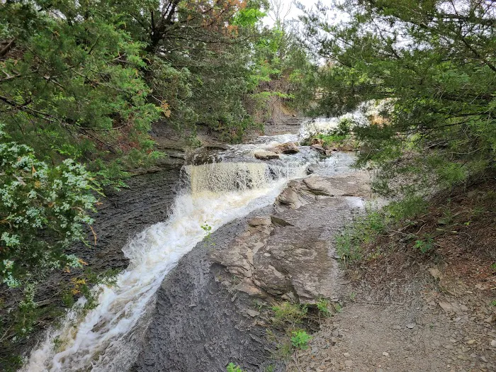 Neosho State Lake Picture 6