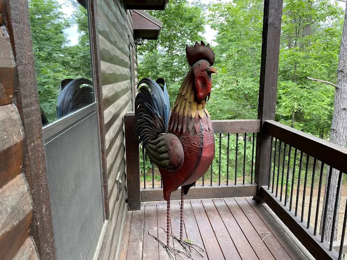 Lucky Rooster Cabin Picture 1