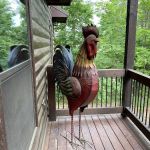 Lucky Rooster Cabin