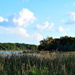 West Lake Davy Crockett Campground