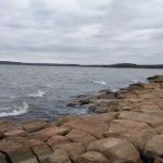 US Army Corps of Engineers