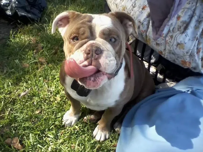 Shady Shores RV Park Picture 2