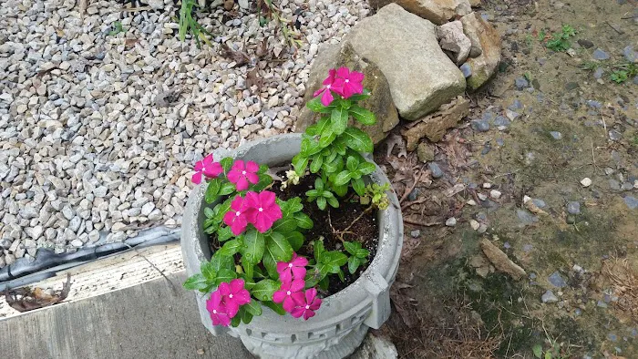 Riverbend RV Campground Picture 8