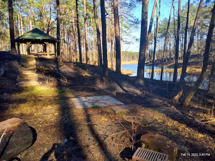 Gum Springs Campground and Picnic Area Picture 7