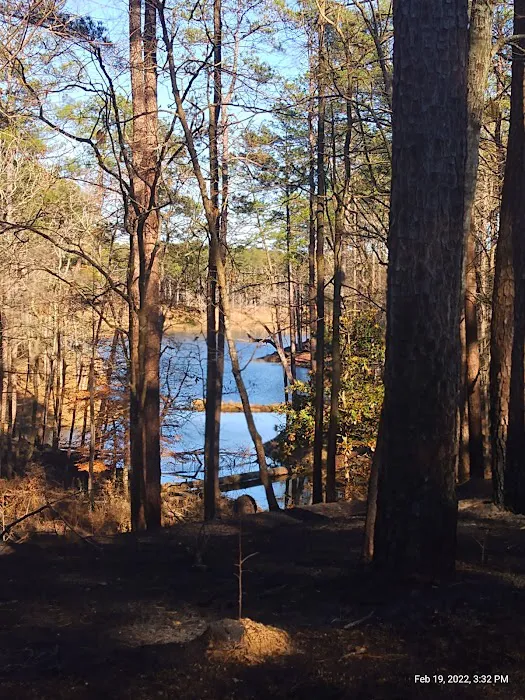 Gum Springs Campground and Picnic Area Picture 5