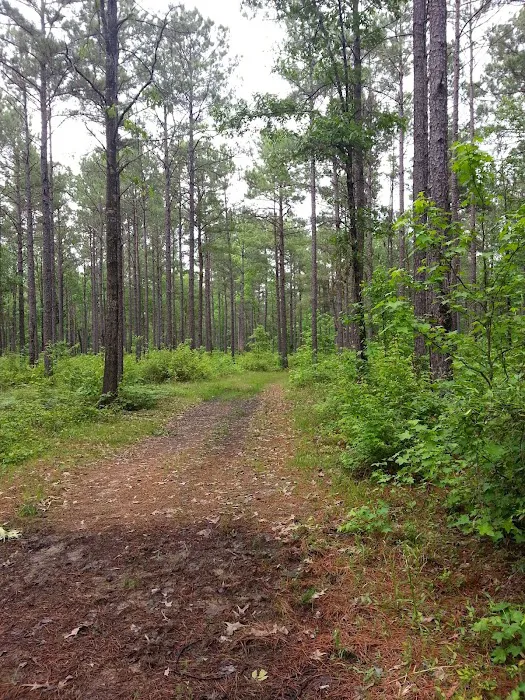 Gum Springs Horse Campground Picture 3
