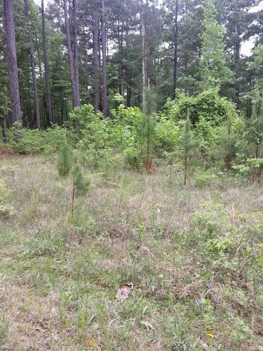 Gum Springs Horse Campground Picture 2