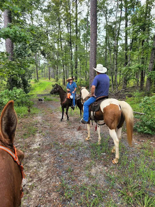 Gum Springs Horse Campground Picture 10