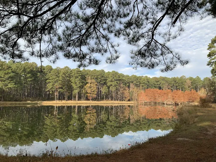 Gum Springs Horse Campground Picture 6